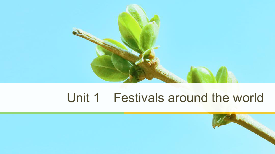 人教浙江专用版必修三Unit 1  Festivals around the world  Grammar情态动词课件（26张）