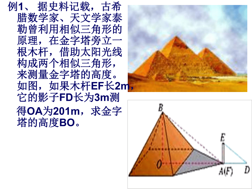 第二十九章相似三角形的应用（1）
