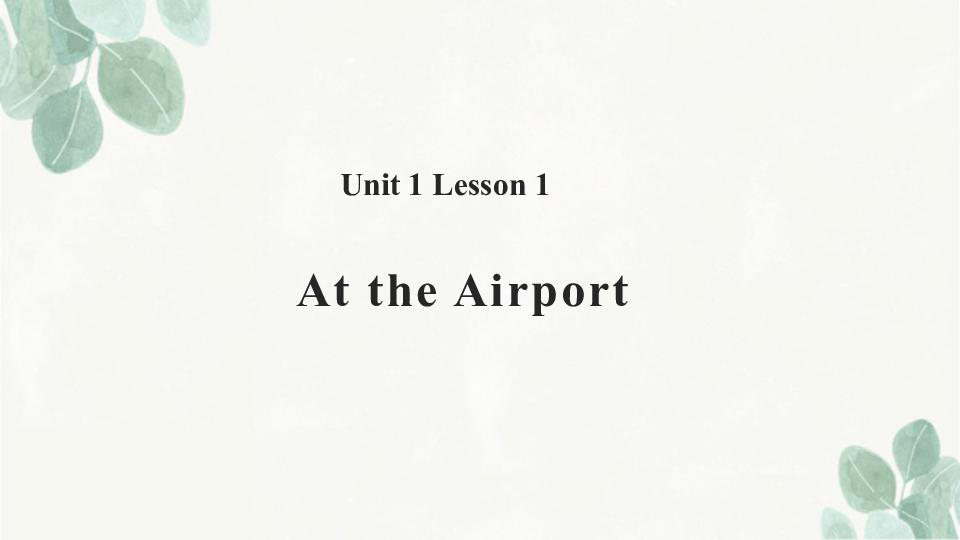 Unit 1 Lesson 1 At the airport 课件（20张PPT）