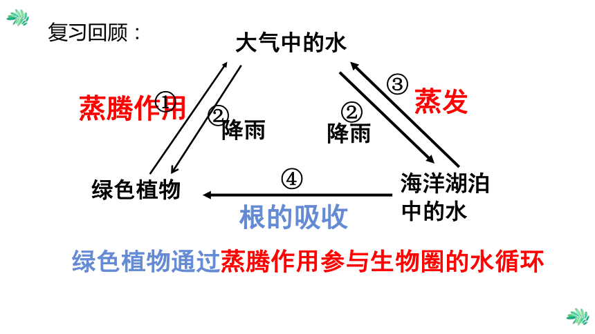 吸收降雨蒸发①降雨绿色植物通过蒸腾作用参与生物圈的水循环复习回顾