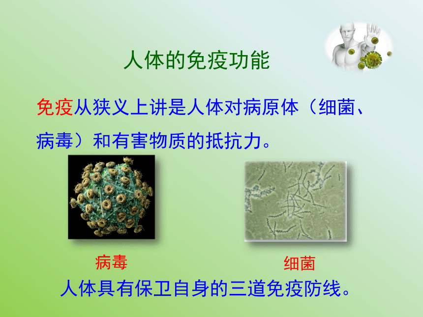 苏教版八年级下册生物 25.3免疫 课件（25张PPT）