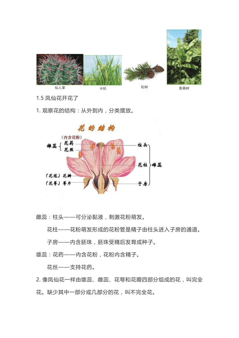 教科版2017秋科学四年级下册第一单元植物的生长变化知识点