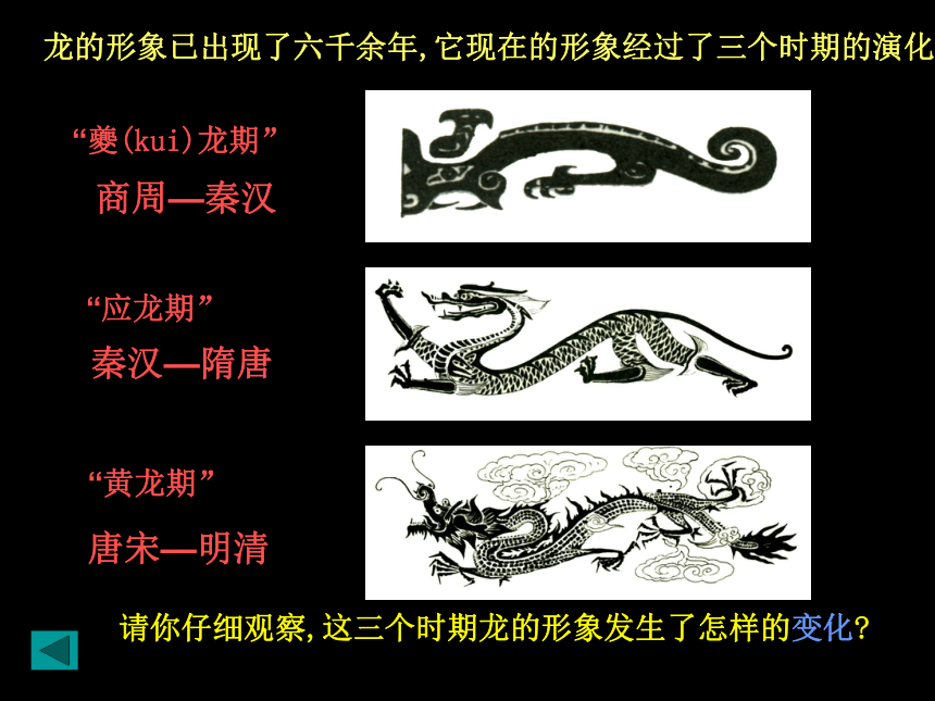 龙的演变的四个阶段图片