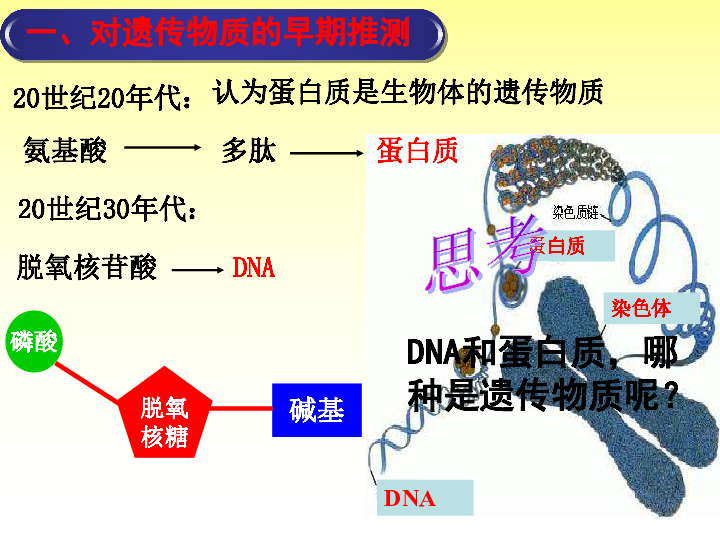 人教版高中生物必修二3.1DNA是主要的遗传物质(共32张PPT)