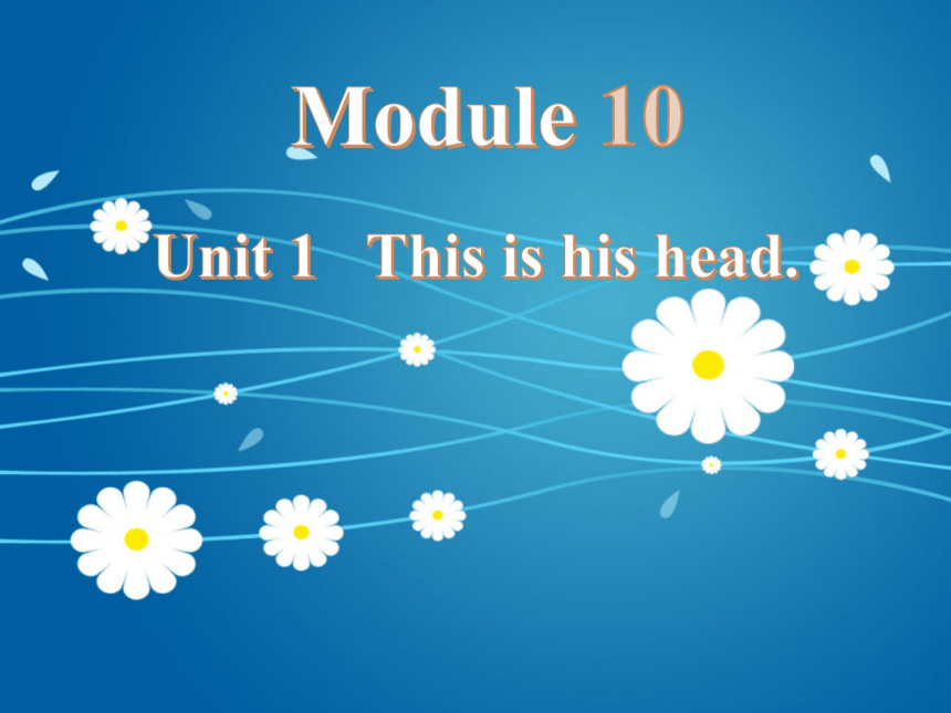 Module 10 unit 1 This is his head课件（共18张PPT）