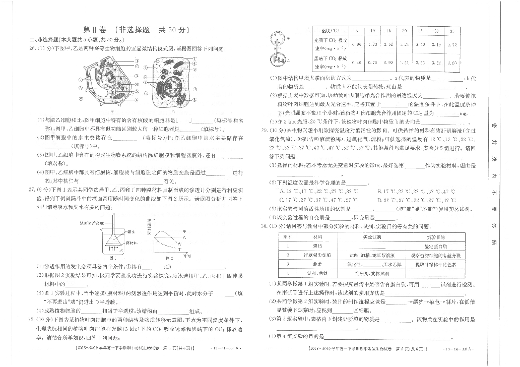 内蒙古赤峰市2018-2019学年高一下学期期中考试生物试题（扫描版，含答案）