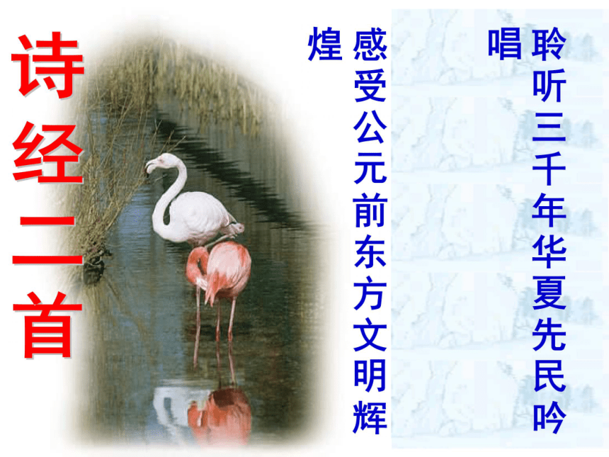 人教版（新课程标准）九年级下册第六单元24《诗经》两首课件