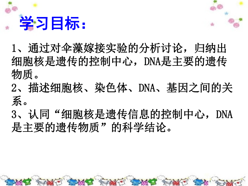 济南版八年级上册第七单元第四章第一节 遗传的物质基础课件 （共25张PPT）