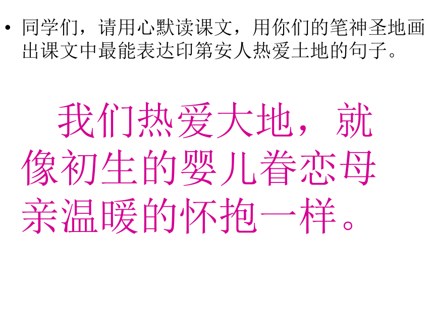 《这片土地是神圣的》课件