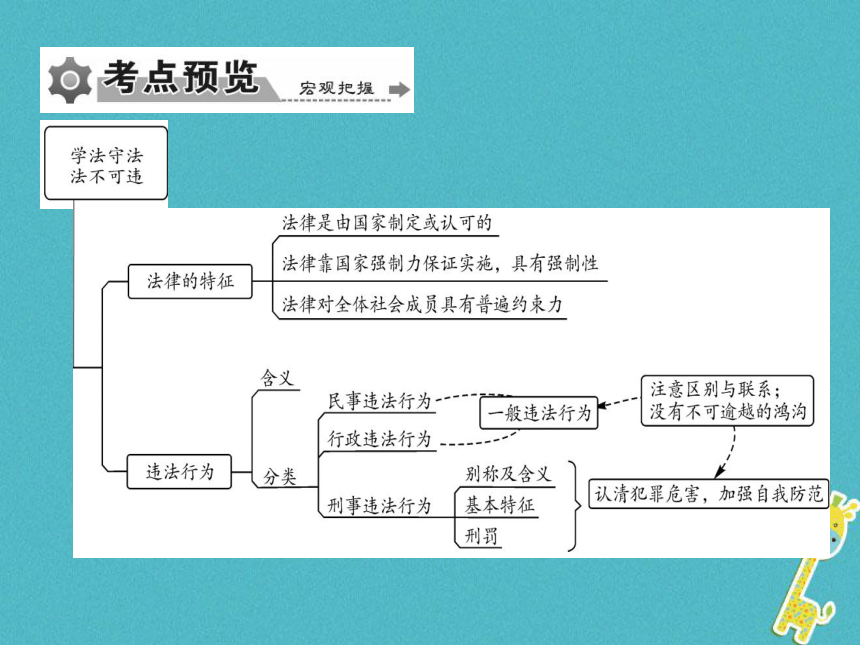 重庆市2018届中考政治专题复习五感受法律威严知道违法必究  课件（图片版  148张PPT）