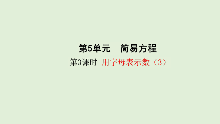 人教版数学五年级上册5.3 用字母表示数（3）课件(共29张PPT)