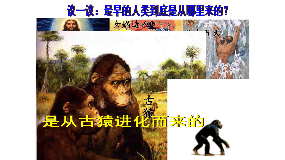 人教部编版七年级历史上册 第1课 中国境内早期人类的代表--北京人 课件（52张PPT）