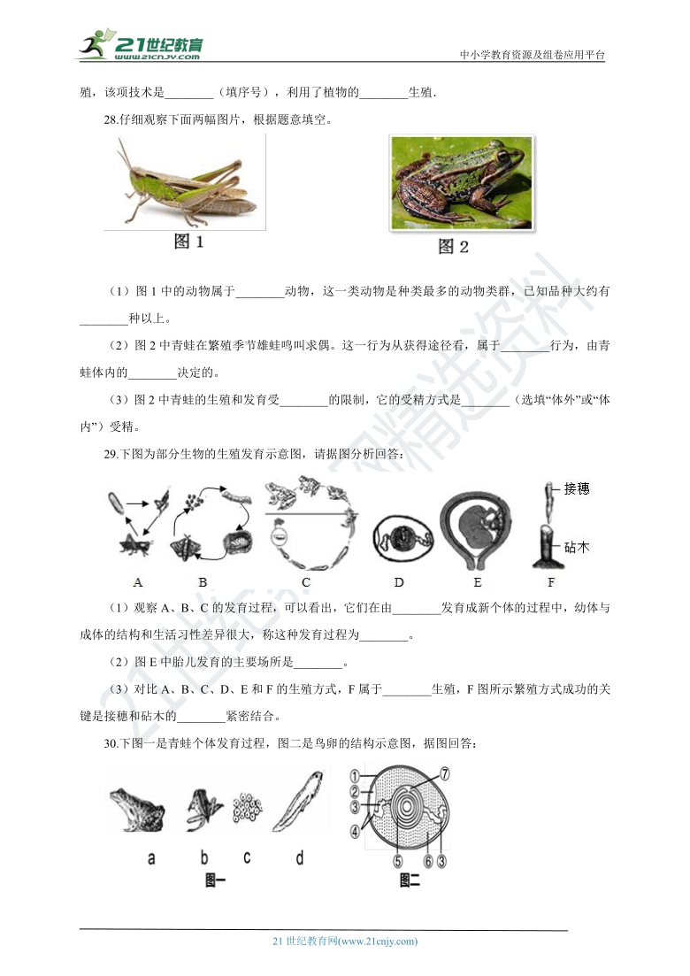 人教版2021初中生物八下 期中模拟测试卷二（含解析）