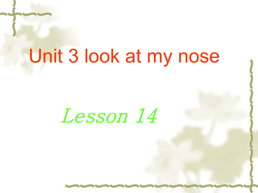 Unit 3 Look at my nose Lesson 14 课件