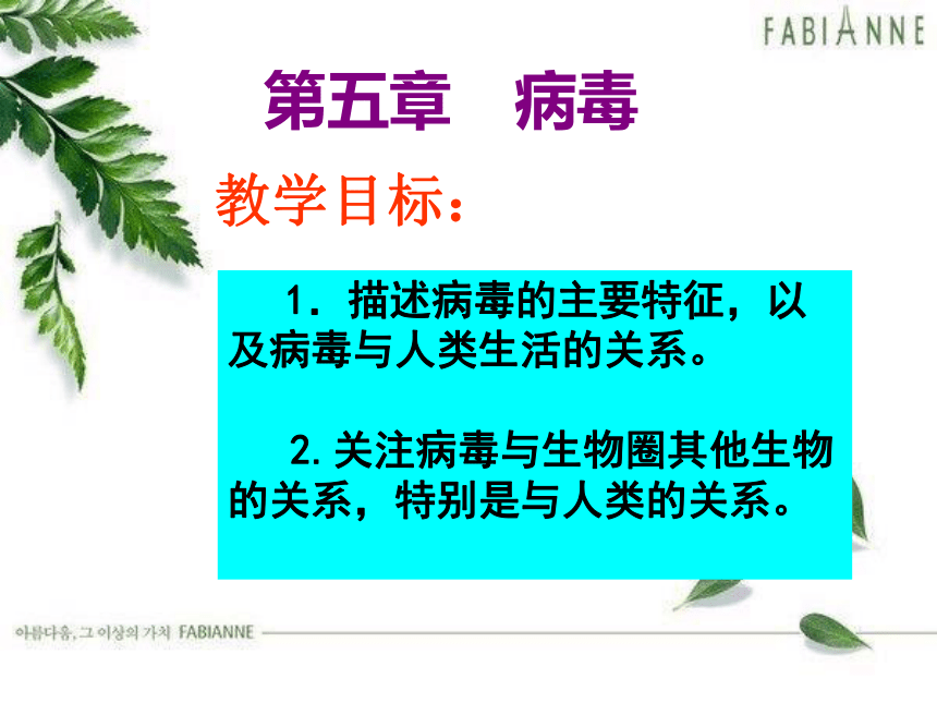 第五章病毒(54张ppt)