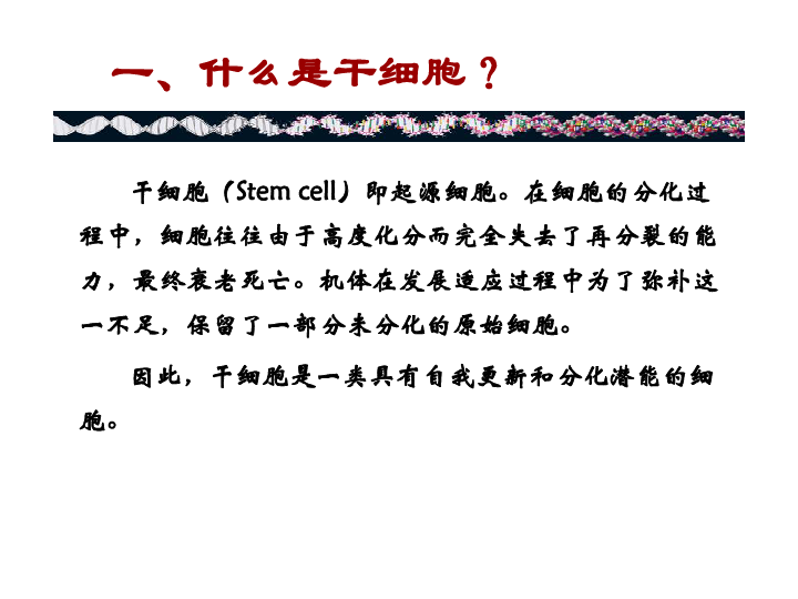 苏教版高中生物选修3第3章第2节胚胎干细胞的研究及其应用  共34张PPT