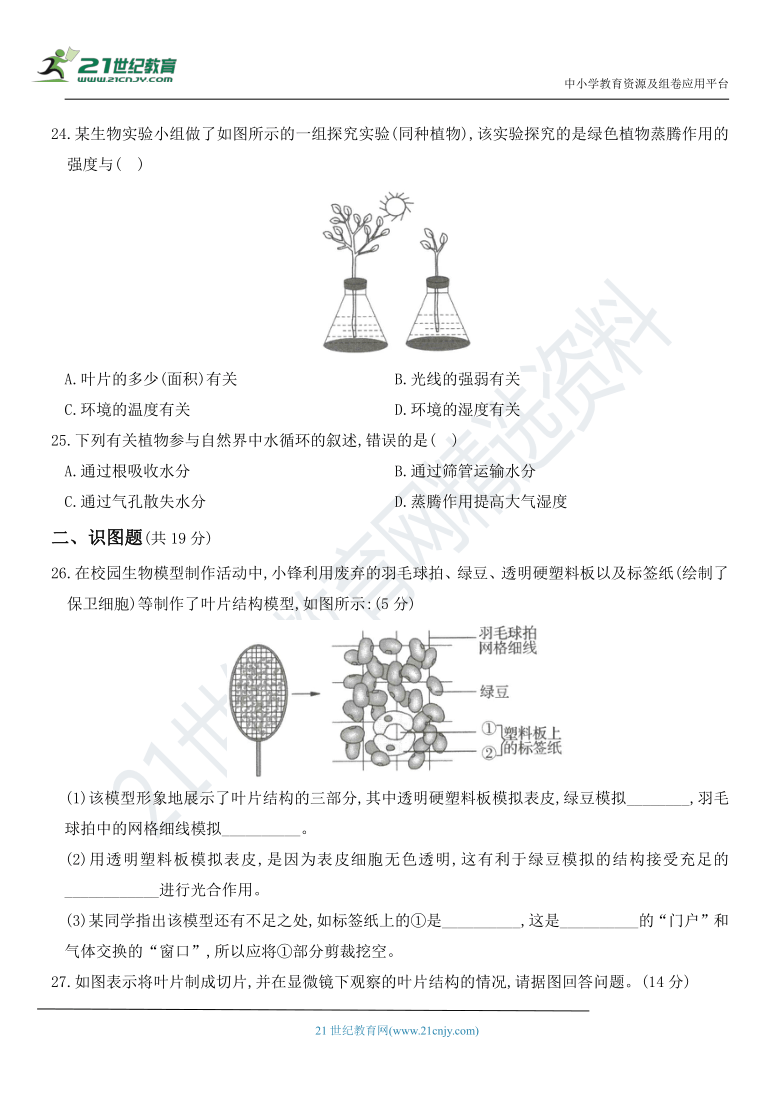 第三单元 第三章 绿色植物与生物圈的水循环 章节测评卷（含重点解析）