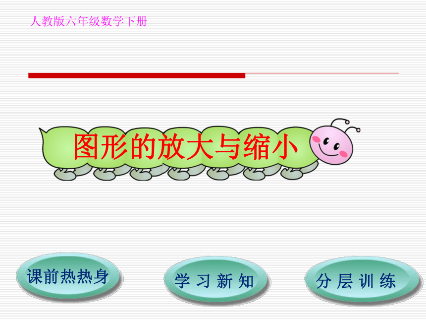 数学六年级下人教新课标4图形的放大与缩小课件 (共21张)