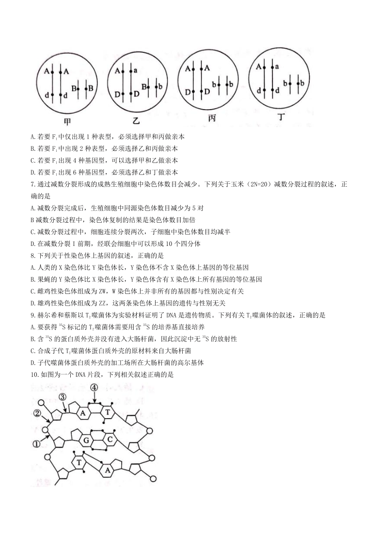 河北省张家口市2020-2021学年高一下学期期末考试生物试题 Word版含答案