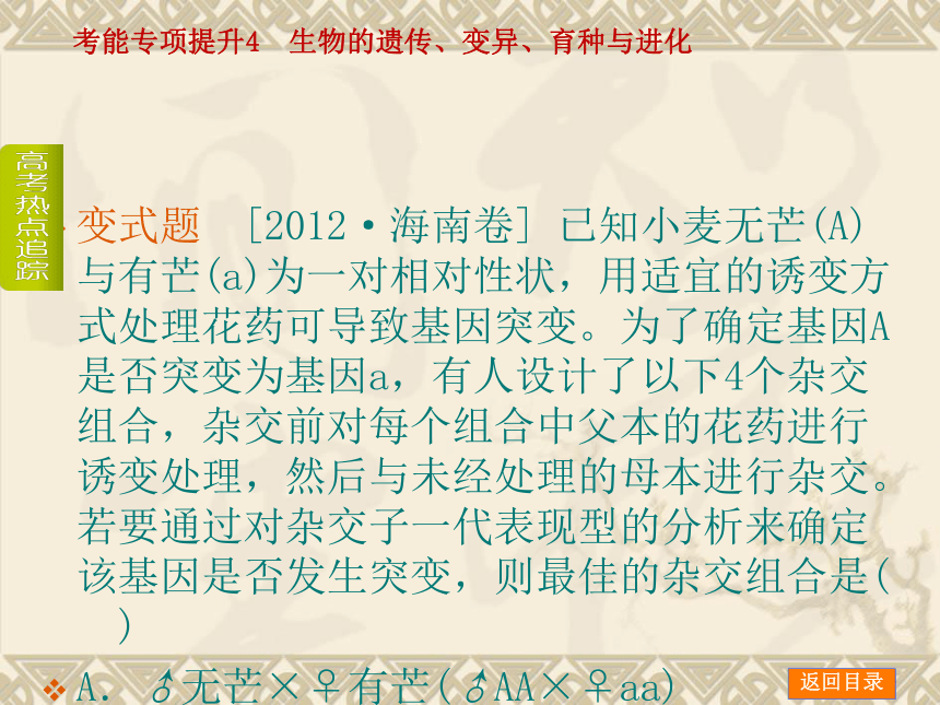 【新课标人教通用，一轮基础查漏补缺】考能专项提升4 生物的遗传、变异、育种与进化 （49ppt）