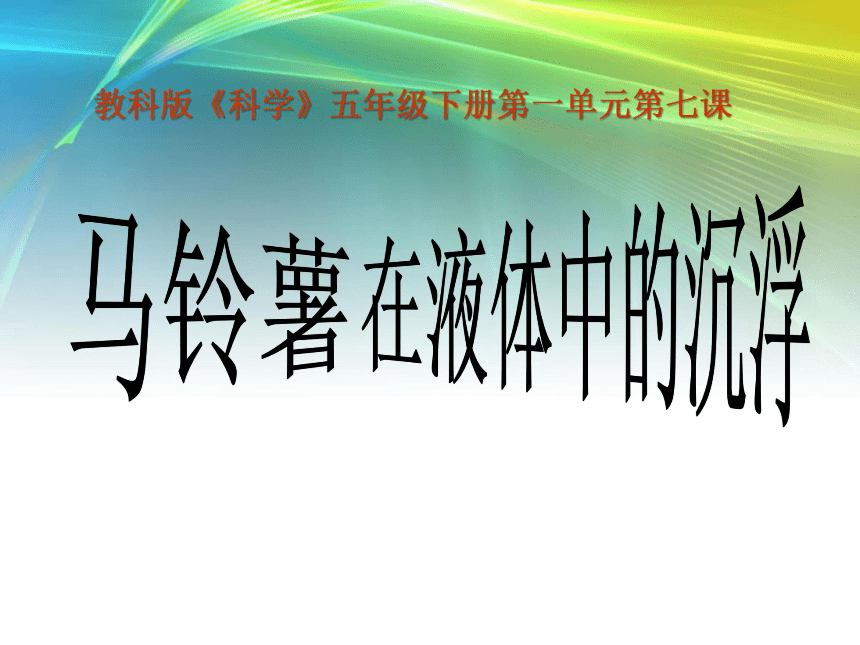 马铃薯在液体中的沉浮  课件