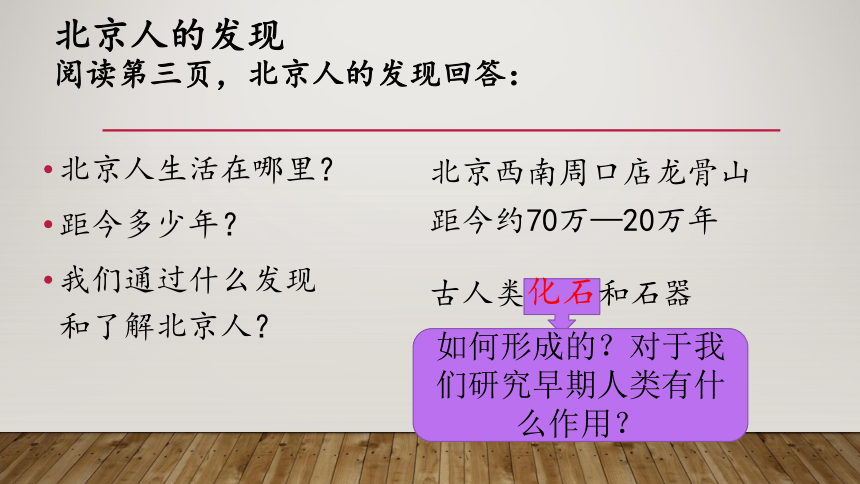 第一课 中国早期人类的代表——北京人