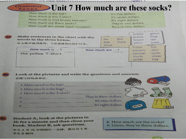 Unit 7 How much are these socks Grammar Focus & 3a-3c课件（21PPT）