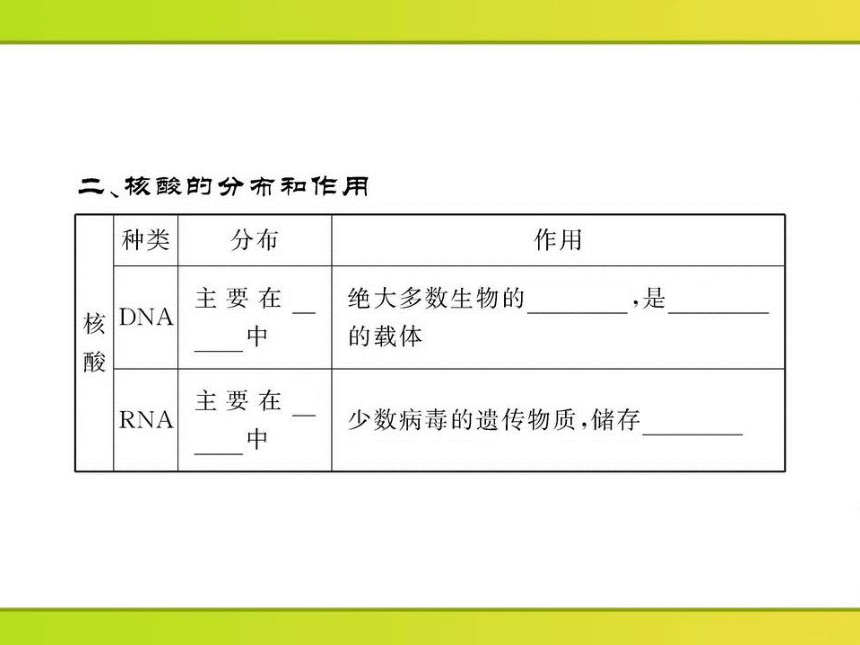 高中生物课时讲练通配套课件：2.2.3《核酸的结构和功能》（苏教版必修1）