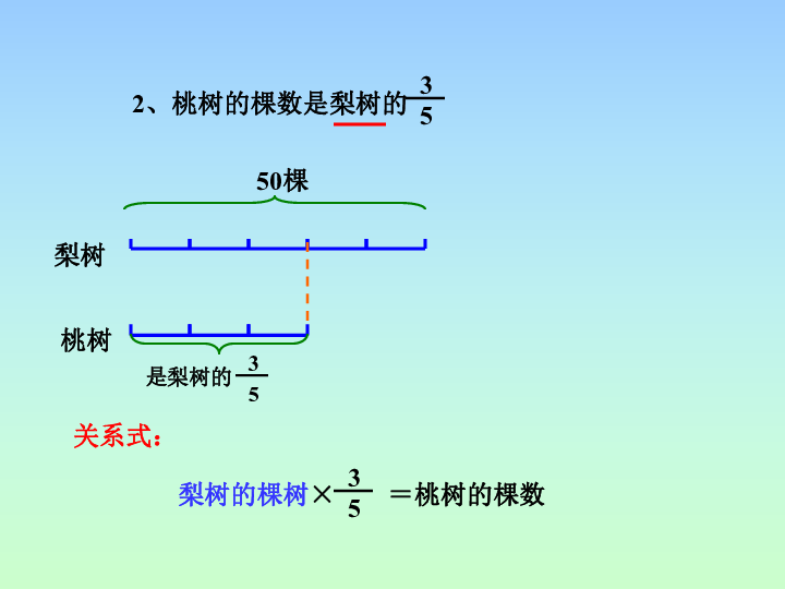 7.1.3分数、百分数的认识 课件（22张PPT）