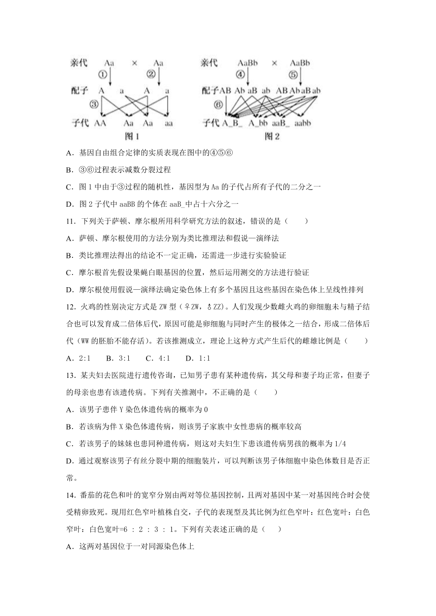 重庆市暨华重点高中2021-2022学年高二上学期第一次月考生物试题（Word版含答案）