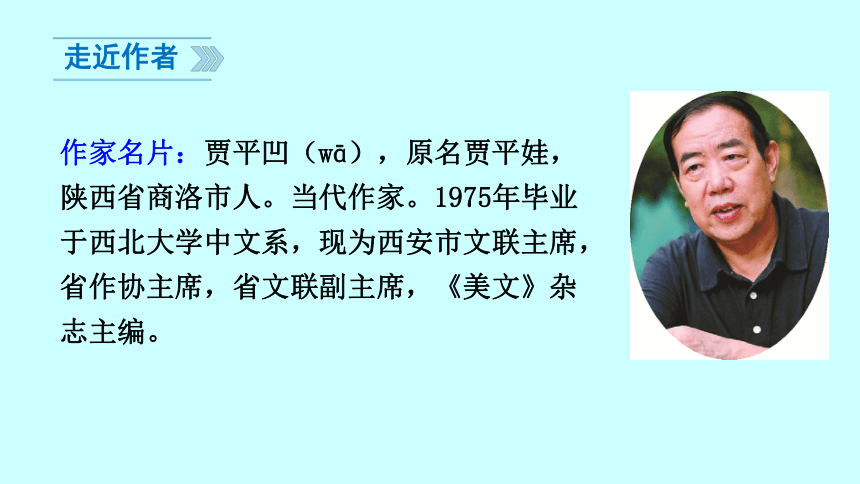 语文八年级上北京课改版5.17《丑石》课件 (37张)