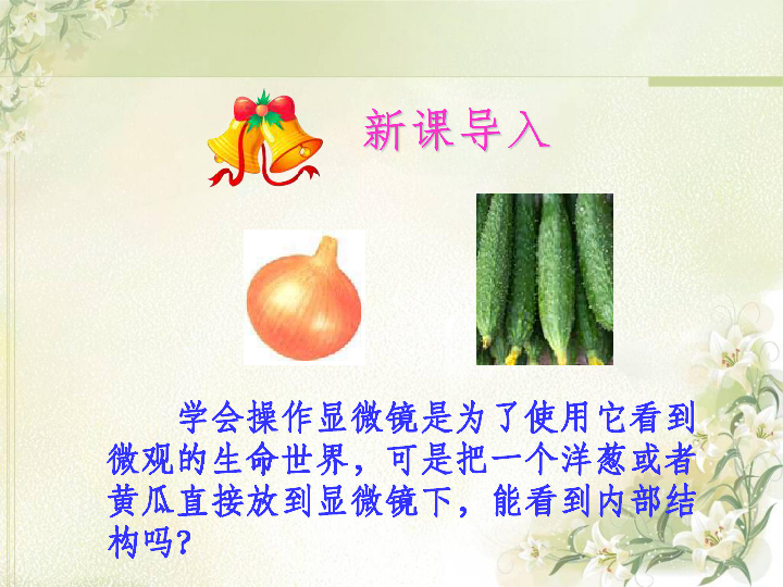 《观察植物细胞》课件(共27张PPT)