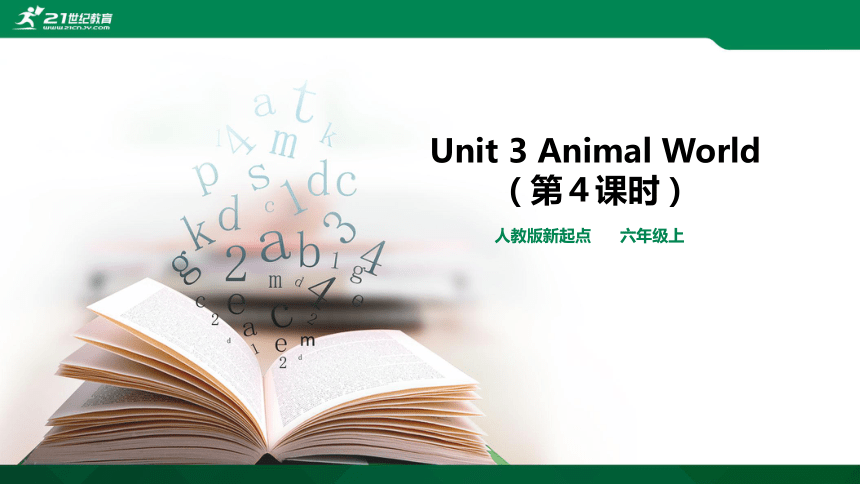 Unit 3 Animal World (第４课时)　课件(共62张PPT)