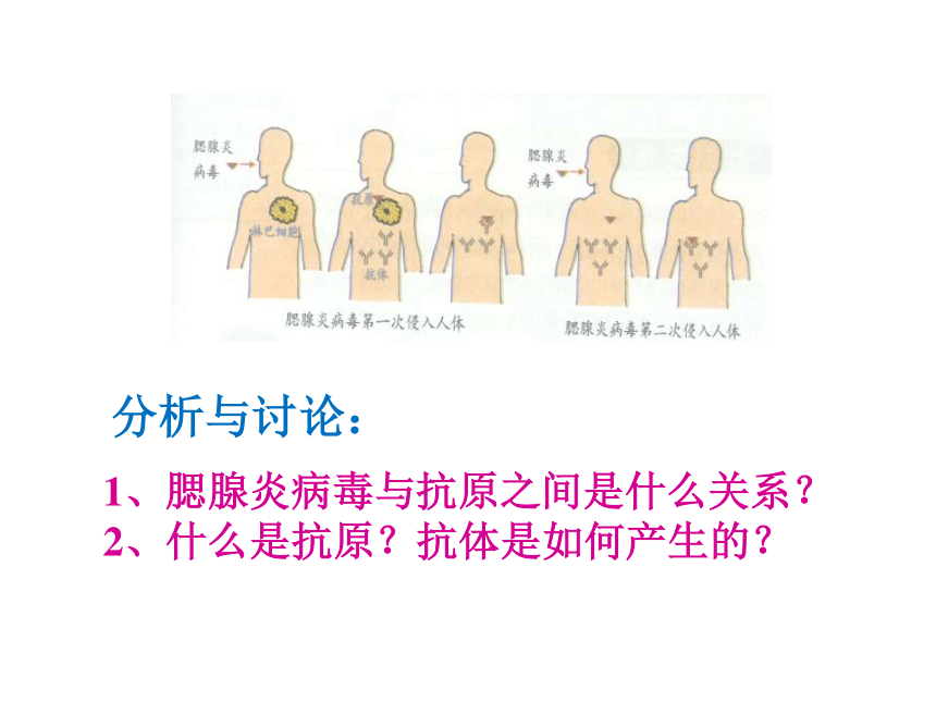 【教师原创】济南版生物七下3.6.1人体的免疫功能 课件（25张ppt）