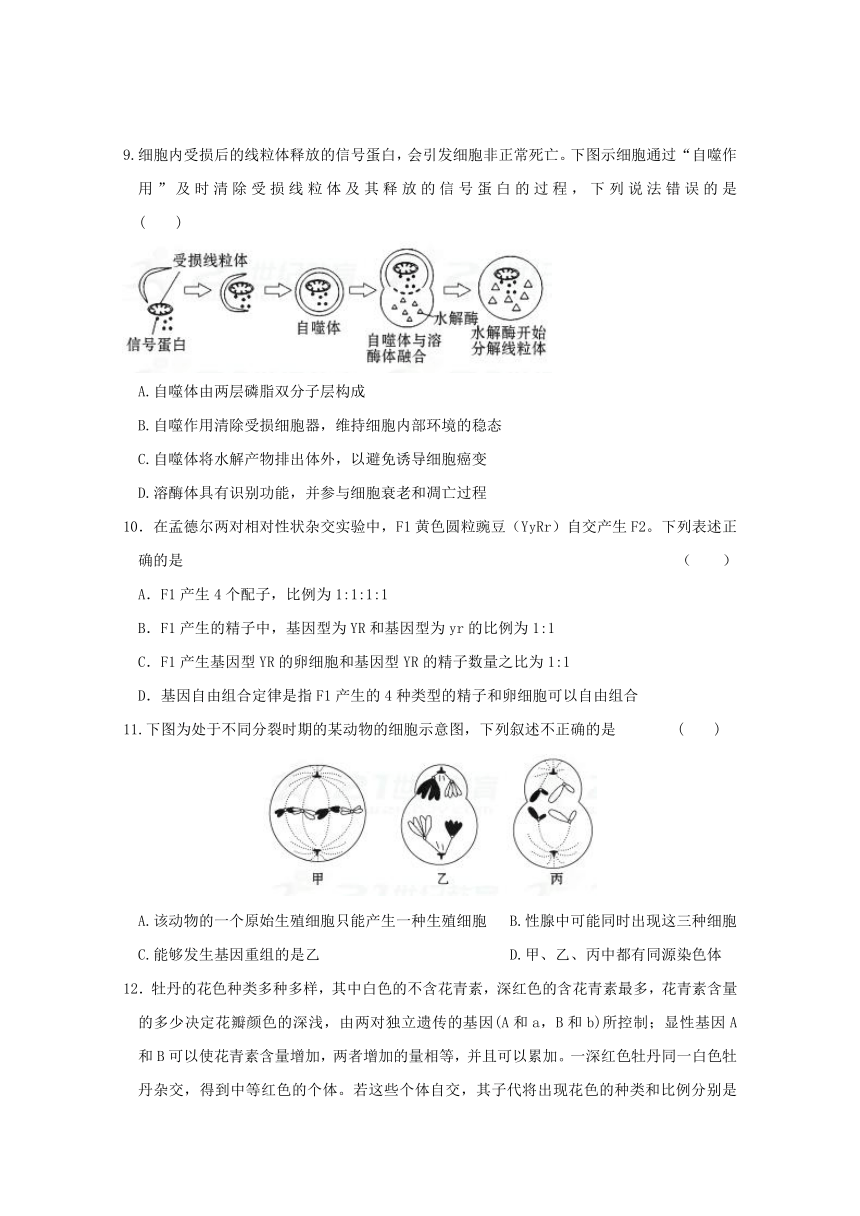 辽宁省大连市普兰店区2017届高三下学期期末质量检测生物试题