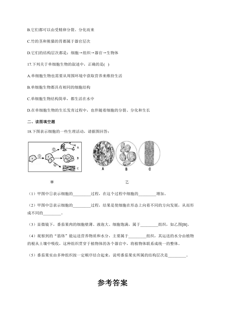 2021年中考生物二轮复习阶段检测（一）（有答案）