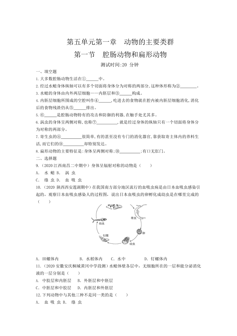 人教版生物八年级上册 第5单元 1.1 腔肠动物和扁形动物 同步测试题（word版含答案）