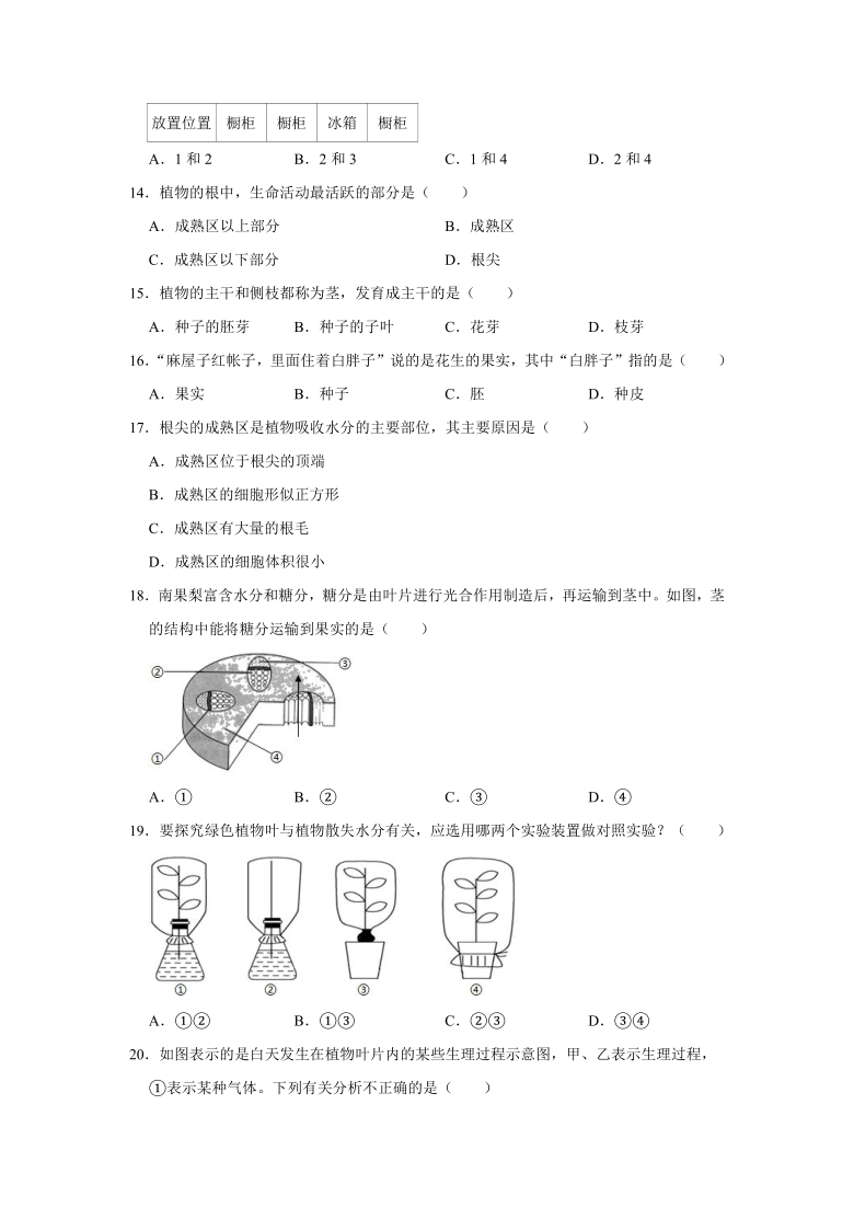 2020-2021学年辽宁省鞍山市七年级（上）期末生物试卷（word版含解析）