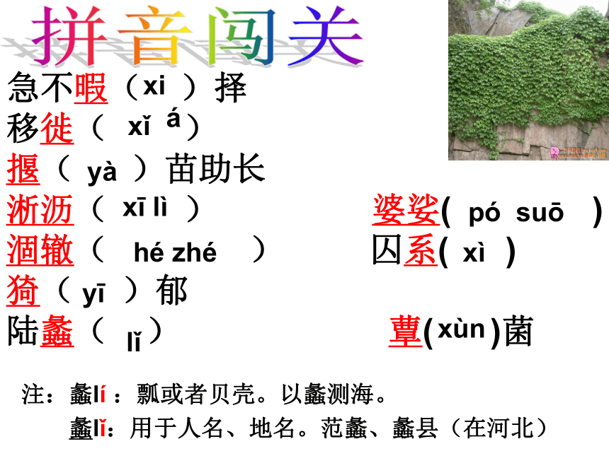 囚绿记课件(共43张PPT)