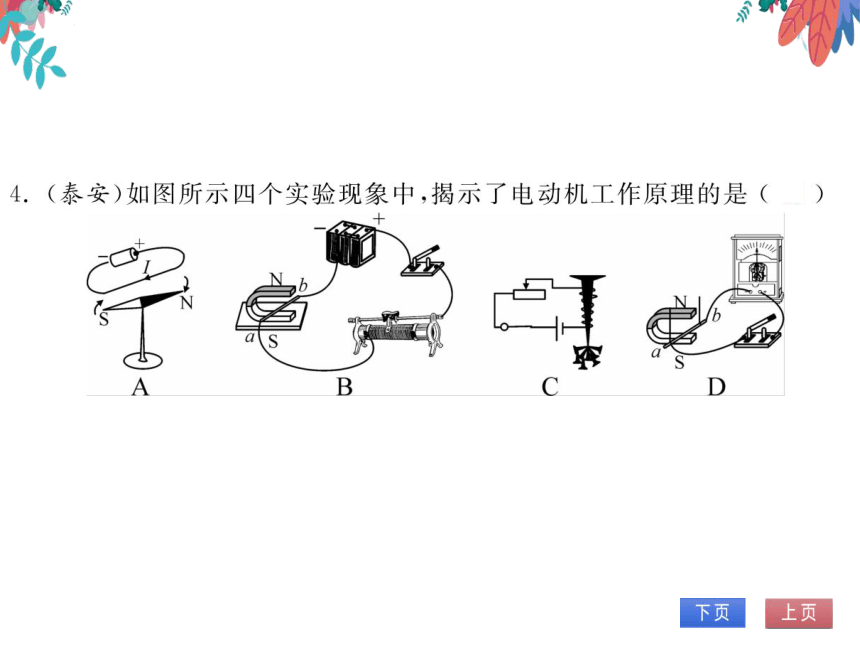 【北师大版】物理九年级全册 14.6 直流电动机  习题课件