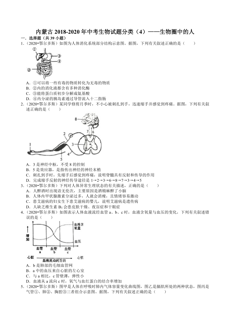 内蒙古2018-2020年近三年中考生物试题分类（4）——生物圈中的人(含解析)