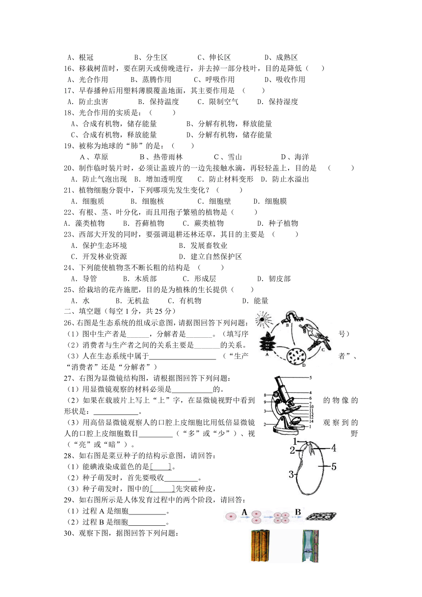 七年级生物期末素质测试题