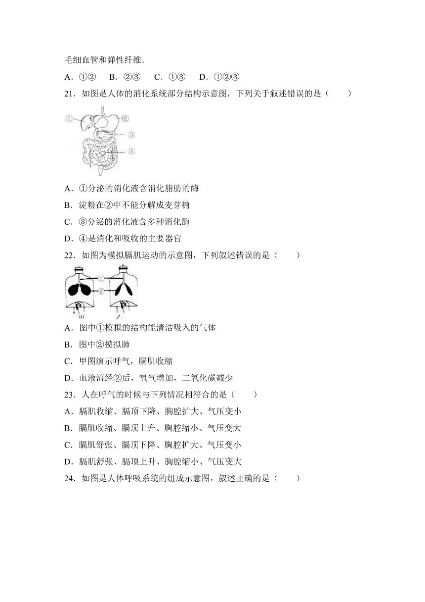 福建省漳州市漳浦三中2016-2017学年七年级（下）第一次月考生物试卷（解析版）