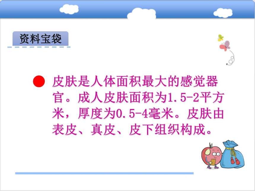 北师大四下11  手上的皮肤课件