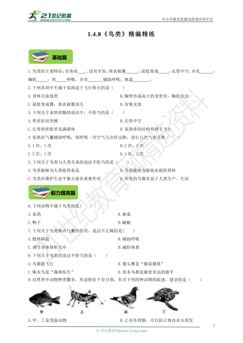 1.4.8《鸟类》精编精炼(含答案)