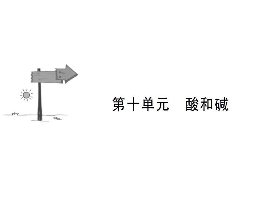 2018人教版化学中考全程专题突破 教材研析第十单元 酸和碱