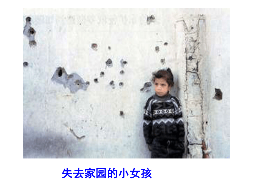 语文四年级下北京版1.3《一个中国孩子的呼声》课件3