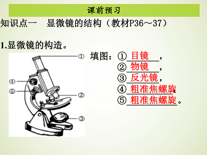 第二单元 第一章  第一节练习使用显微镜 课件（共32张PPT）
