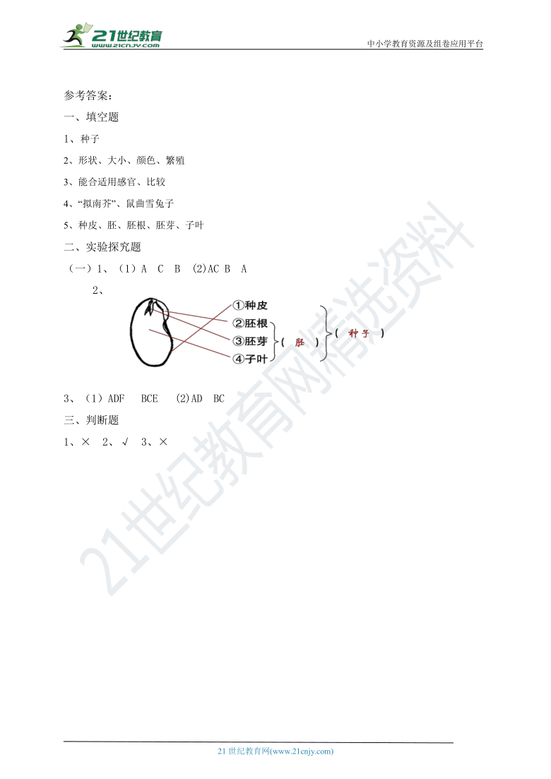 教科版(2017秋）四年级科学下册1.1种子里孕育着新生命同步练习（含答案）