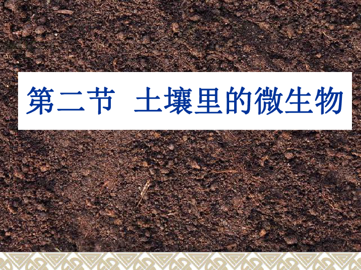苏科版七年级下册生物 13.2土壤里的微生物 课件(21张PPT)